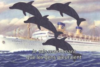 Carte postale illustrée avec des dauphins sautant de l’eau à côté d’un navire.